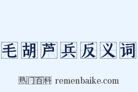 毛胡芦兵反义词是什么意思的图片